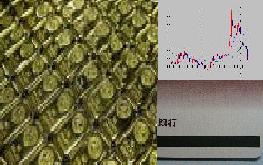 ���Y�^�p�C���[�W